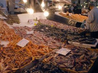 Ανατιμήσεις στα ψάρια – Πως διαμορφώνονται οι τιμές στη Βαρβάκειο Αγορά