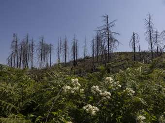 North Evia Pass 2025: Από σήμερα αιτήσεις μέσω του vouchers.gov.gr