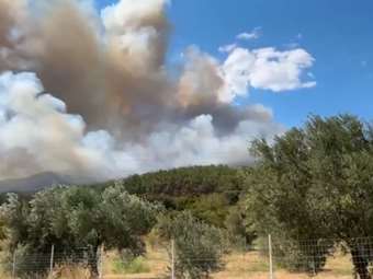 Μυστήριο με τον Τούρκο εμπρηστή στον Ασπρόπυργο: Δηλώνει ΛΟΑΤΚΙ, πρόσφυγας και με ψυχικά προβλήματα