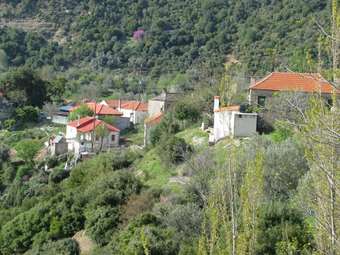 Έτοιμο το νομοσχέδιο για τα καταπατημένα - Τι προβλέπει