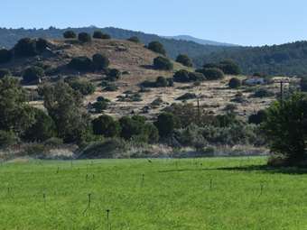 Μυτιλήνη - Παραχώρηση δημοτικής έκτασης για να ανασκαφεί και αναδειχθεί η αρχαία Αρίσβη