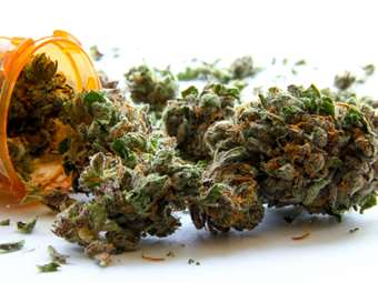 Curity Pharma: Παρουσίασε την 1η υβριδική θερμοκηπιακή μονάδα για την καλλιέργεια φαρμακευτικής κάνναβης.