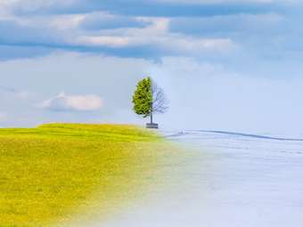 Κλιματική αλλαγή: Παρά την αποχώρηση των ΗΠΑ από τη Συμφωνία του Παρισιού, άλλες χώρες τονίζουν τη δέσμευσή τους υπέρ του κλίματος