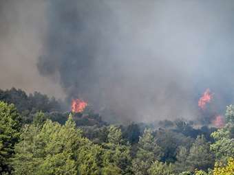 Βελτιωμένη εικόνα στην πυρκαγιά στο Γεράκι Ηλείας - Σοβαρά τραυματίστηκε στο πόδι πυροσβέστης (upd)