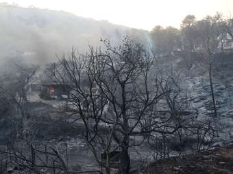 Στο πλαίσιο της κρατικής αρωγής εντάχθηκαν οι πυρόπληκτες αγροτικές εκμεταλλεύσεις της Αττικής