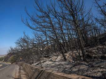 Πυρκαγιά στις Μελέσες Ηρακλείου - Επιχειρεί και εναέριο μέσο