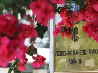 ΜΒΑ Food &amp; Agribusiness: Διοίκηση επιχειρήσεων και εξειδίκευση στον Αγροδιατροφικό Τομέα από το Γεωπονικό Πανεπιστήμιο Αθηνών