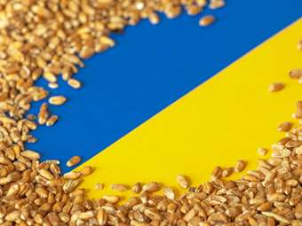 Ουκρανία: Η αξία των εξαγωγών μειώθηκε κατά 18,7% το 2023