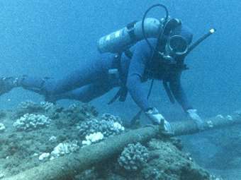 Σαμποτάζ καταγγέλλει η Γερμανία για τα καλώδια στη Βαλτική– Ανησυχία για "υβριδικό πόλεμο" εκφράζουν οι ΗΠΑ