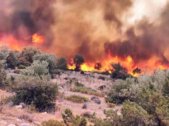 Πυρκαγιά σε χαμηλή βλάστηση στο Κάστρο Λακωνίας