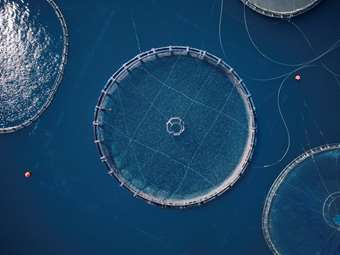 Νέο Διοικητικό Συμβούλιο στην ΕΛΟΠΥ