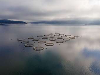 Ιχθυοκαλλιέργειες: Οι γραφειοκρατικές καθυστερήσεις "πνίγουν" τις επενδύσεις