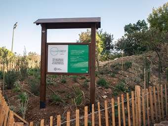 Το 1ο micro Forest στην καρδιά της Αθήνας από τη L'Oréal Hellas, είναι γεγονός