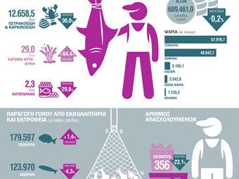 Υδατοκαλλιέργειες: Πτώση 10,2% της παραγωγής το 2024