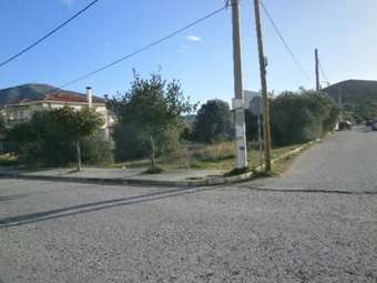 Πλειστηριασμοί: Νέα σφυριά για οικογένειες Αγούδημου και Κοντοβερού