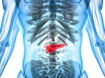 Εξέταση αίματος εντόπισε τον καρκίνο του παγκρέατος σε πρώιμο στάδιο με ακρίβεια έως και 97%