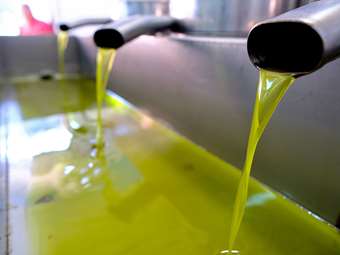 Ελαιόλαδο: Στα 300-600 εκατ. ετησίως ο μαύρος τζίρος του πράσινου χρυσού