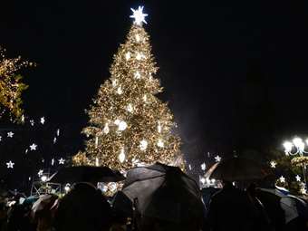 Φωταγωγήθηκε το χριστουγεννιάτικο δέντρο της Αθήνας