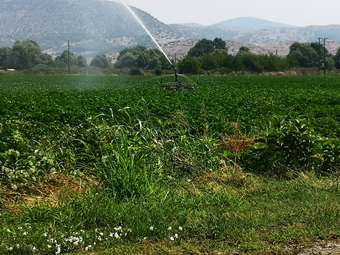 Αγροτικές επιδοτήσεις: Το υβριδικό μεταβατικό σύστημα πληρωμών και ελέγχων για το 2025 - Τι αλλάζει το 2026