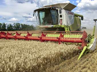 Βουλγαρία: Σε περισσότερους από 6 εκατ. τόνους υπολογίζεται η φετινή συγκομιδή σιτηρών