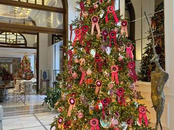 THE DOLLI YOU DESERVE WOW!