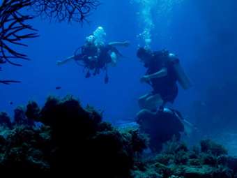 Επισκέψιμο από το καλοκαίρι του 2025 το πρώτο αδειοδοτημένο καταδυτικό πάρκο της Ελλάδας στον Αποκόρωνα Χανίων