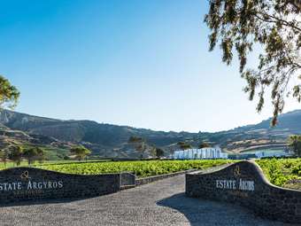 Το Κτήμα Αργυρού προστίθεται στο χαρτοφυλάκιο της Trinity Wines