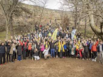 Δενδροφύτευση από εργαζομένους της Πειραιώς στην Πεντέλη