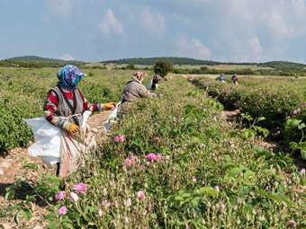 Τα χρέη των αγροτών στην Τουρκία και οι υποθήκες