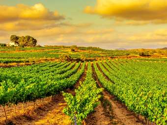 Η ισπανική γεωργία στρέφεται στις νέες τεχνολογίες