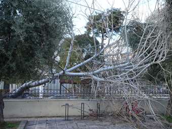 Αλεξανδρούπολη: Δεκάδες αιτήσεις από επιχειρήσεις και κατοικίες που επλήγησαν από την κακοκαιρία