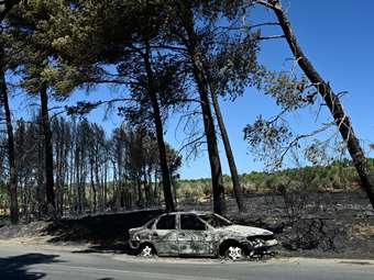 Πώς επηρέασαν οι καθαρισμοί των οικοπέδων την εξέλιξη των πρόσφατων πυρκαγιών στην Αττική