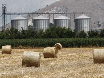 Απαλλαγή από την υποχρέωση της αγρανάπαυσης - Τι προβλέπει η απόφαση της Ε.Ε.