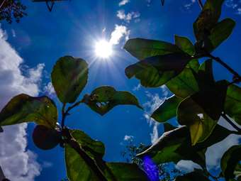 ΗΑΕ: Θερμοκρασίες - ρεκόρ με τον υδράργυρο στους 51,6 βαθμούς Κελσίου