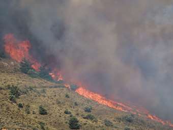 Firefighters' efforts to extinguish the blazes on Chios ongoing on Tuesday