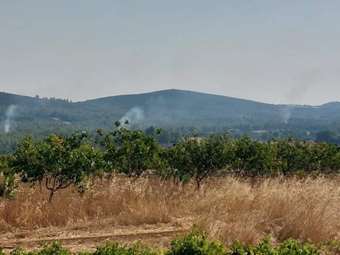 Γιατί οδηγούνται πλέον στη φυλακή οι κατηγορούμενοι για τις πυρκαγιές - Το νέο modus operandi των διωκτικών αρχών και οι αλλαγές στον Ποινικό Κώδικα