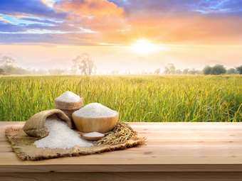 Η μεγαλύτερη έλλειψη ρυζιού της τελευταίας 20ετίας παγκοσμίως είναι εδώ