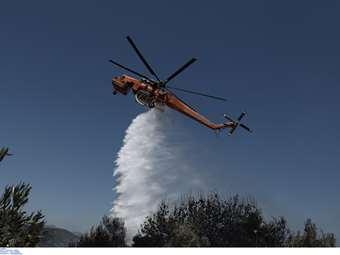 Θεσσαλονίκη. Υπό μερικό έλεγχο η πυρκαγιά σε δασική έκταση στο Πανόραμα Δράμας