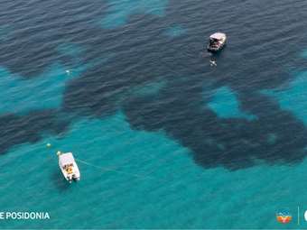 Vodafone Posidonia: Το πρώτο υπερσύγχρονο υποβρύχιο παρατηρητήριο για τον υποθαλάσσιο πνεύμονα της Μεσογείου