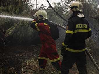 Καβάλα: Δασική πυρκαγιά κοντά σε χαράδρα στην περιοχή Κορυφές -  Δεν απειλούνται κατοικημένες περιοχές