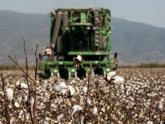 Μείωση 8,9% στις τιμές εκροών στη Γεωργία – Κτηνοτροφία τον Ιανουάριο