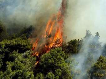 Ζάκυνθος: Ολονύχτια μάχη με τις φλόγες στο χωριό Αγία Μαρίνα - Υπό μερικό έλεγχο η πυρκαγιά