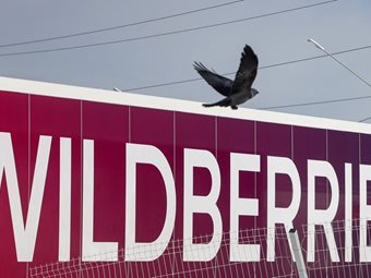 Wildberries: Πώς η πλουσιότερη γυναίκα της Ρωσίας παρέδωσε το ένα τρίτο της περιουσίας της - Ο ρόλος του Κρεμλίνου, όλο το παρασκήνιο