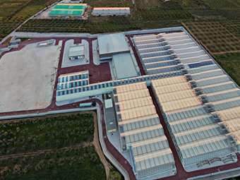 Έναρξη Εξαγωγών από την Tikun Olam Ελλάδος