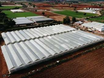 THERMI VC: Ηγείται στην Αγροτεχνολογία με Επενδύσεις €30 εκατ. - Δυναμική στροφή στην Υδροπονία και την Αγροτική Καινοτομία