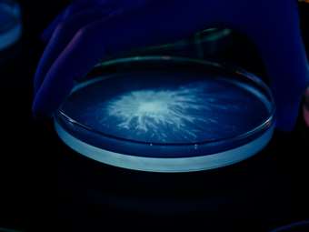 Η L'Oréal αποκτά την ερευνητική εταιρεία Lactobio