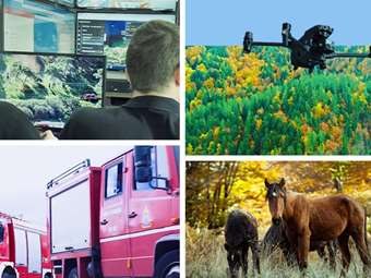 Η Rolex Συνεισφέρει στην Προστασία της Βάλια Κάλντα και Ενισχύει τη Δασοπροστασία στην Ελλάδα