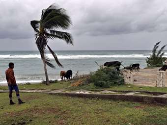 Τυφώνας Μελίσα: Πάνω από 30 οι νεκροί σε Αϊτή, Τζαμάικα, Δομινικανή Δημοκρατία, Παναμά
