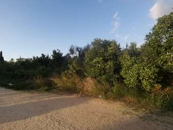 Πλειστηριασμοί: Ξανά στο "στόχαστρο" η οικογένεια Raxevsky