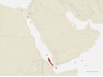 Υεμένη: Έκρηξη κοντά σε εμπορικό πλοίο - Ασφαλές το πλήρωμα